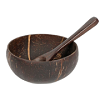 Coconut Shell Bowl