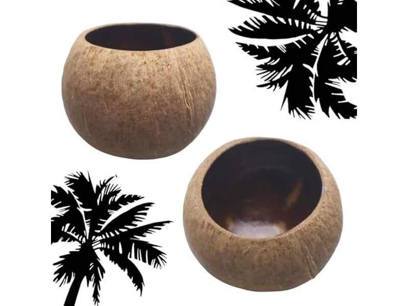 Eco Friendly Tint Bowl Round Pizza Dough Decorative Salad Bowls Coconut