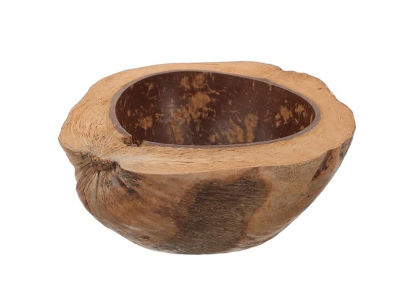 Eggshell Coconut Bowl Smoothie Colorful Melamine For Kids Sale Bowls Recipes