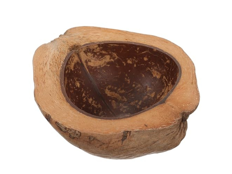 Shelled Coconuts Christmas Candle Sea Shell Wood Wick Coloured Candles Ice Cream