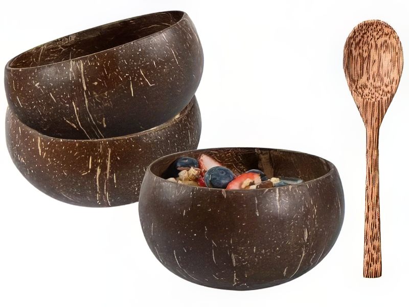 Customized Coconut Shell Bowl factory