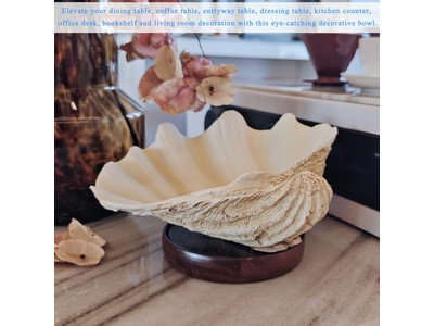 Coconut Bowl For Plants Unpolished Shell Engraving Wooden Bowls And Plates