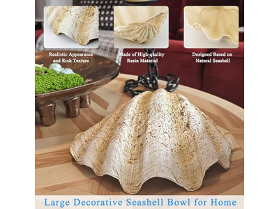 Coconut Bowl For Plants Unpolished Shell Engraving Wooden Bowls And Plates