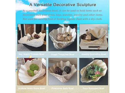 Coconut Bowl For Plants Unpolished Shell Engraving Wooden Bowls And Plates