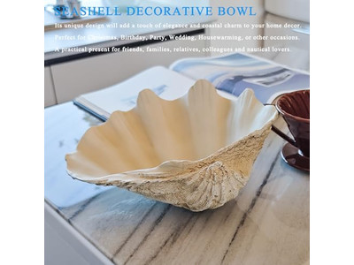 Coconut Bowl For Plants Unpolished Shell Engraving Wooden Bowls And Plates