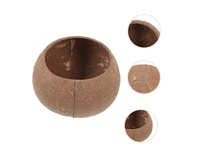 Coconut Bowl Wholesale Packaging For Drink Made From Set Of 2 Bowls Pcs