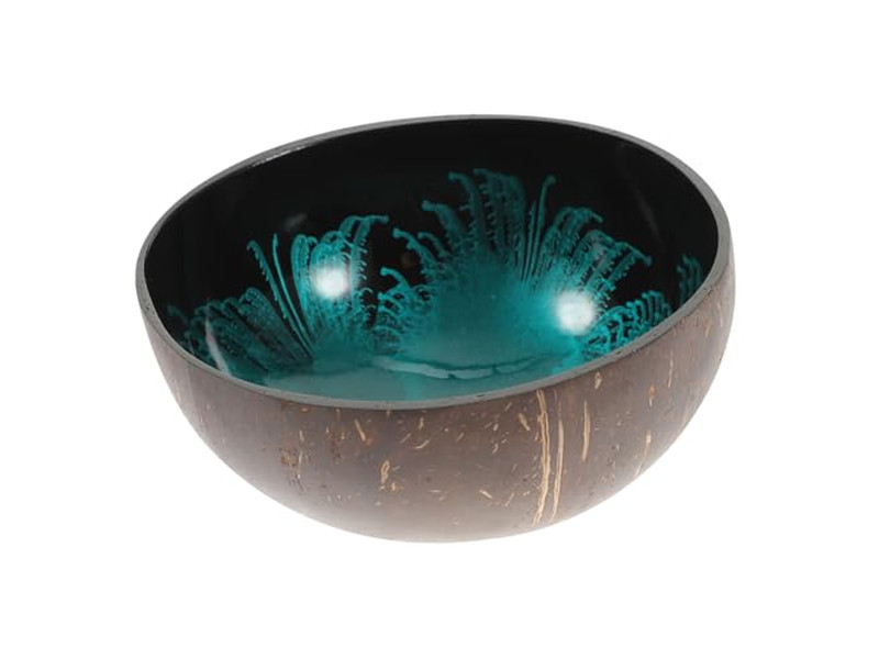 Coconut Bowls For Acai Shell Sala Concrete Key Container Mini Set