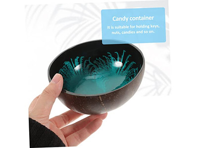 Coconut Bowls For Acai Shell Sala Concrete Key Container Mini Set
