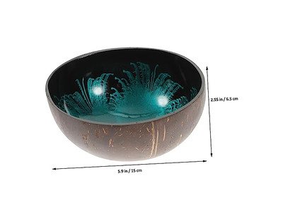 Coconut Bowls For Acai Shell Sala Concrete Key Container Mini Set