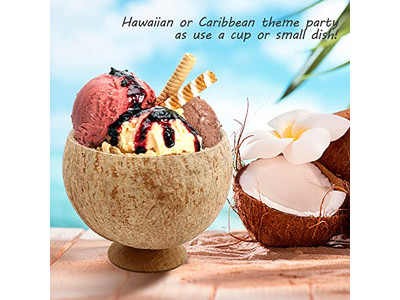 Coconut Shell Product Snacks Dishes Spoon Vietnam Big Size Bowl Own Logo