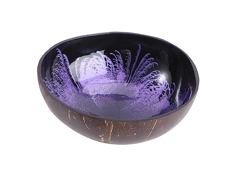 Coconut Shell Unprocessed Key Storage Handmade Serving Bowl Set Big Size Raw