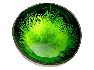 Eco-Friendly Bowl Set Handmade Wooden Bowls Coconut For Soup Diamond Shape