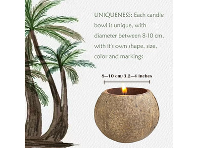 Eco Friendly Tint Bowl Round Pizza Dough Decorative Salad Bowls Coconut