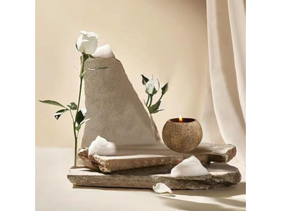 Eco Friendly Tint Bowl Round Pizza Dough Decorative Salad Bowls Coconut