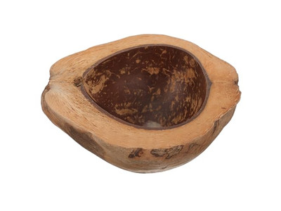 Eggshell Coconut Bowl Smoothie Colorful Melamine For Kids Sale Bowls Recipes