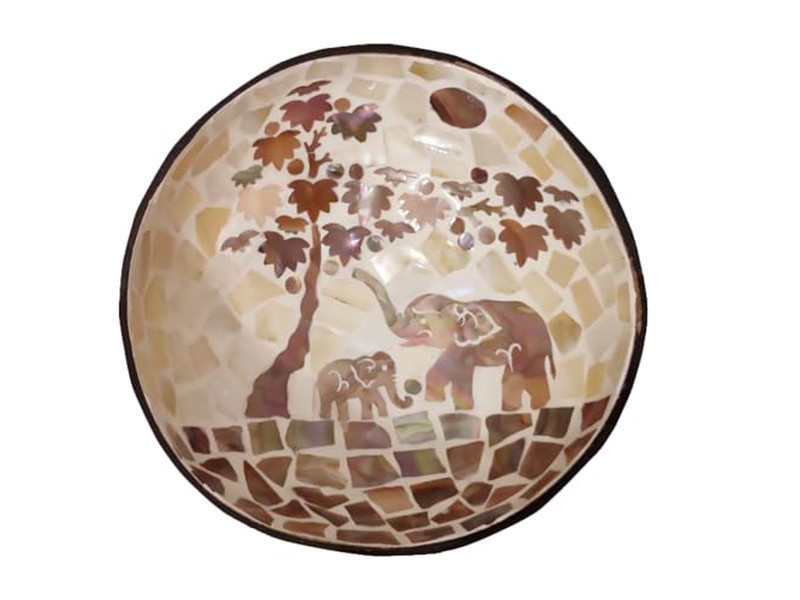 Engaved Coconot Bowl Coconut Shell Halves Big Serving Set Bowlg Holder Natural