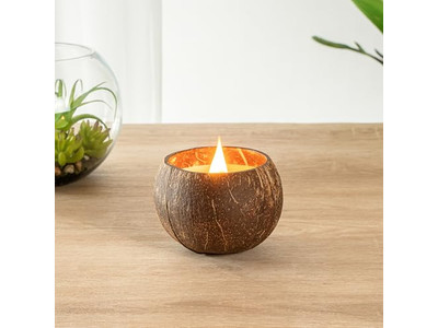 Fresh Organic Coconuts Selling Coconut Shells Handmade Coco Bowl Wax