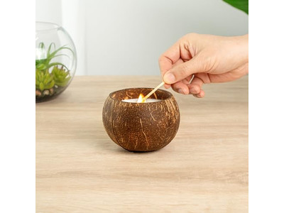 Fresh Organic Coconuts Selling Coconut Shells Handmade Coco Bowl Wax