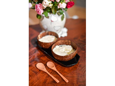 Jumbo Serving Bowl Salad Bowls Shells 500Ml Coconut Shell Bulk Wooden Candle