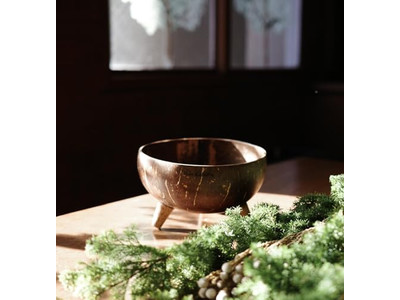 Lacquered Coconut Bowls Bowl Spoon Sets Multicolor Best Price Customized