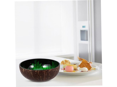 Thailand Natural Bowl Acacia Salad Set Food Safe Coconut Coloured Bowls