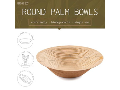 Vegan Coconut Shell Bowl With Holder Natural Log Cheap Price Bowls In Vietnam