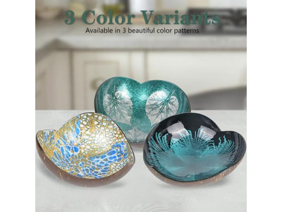 Wooden Bowl Set Big Coconut Raw Lid Hot Decorations Handcrafted Products